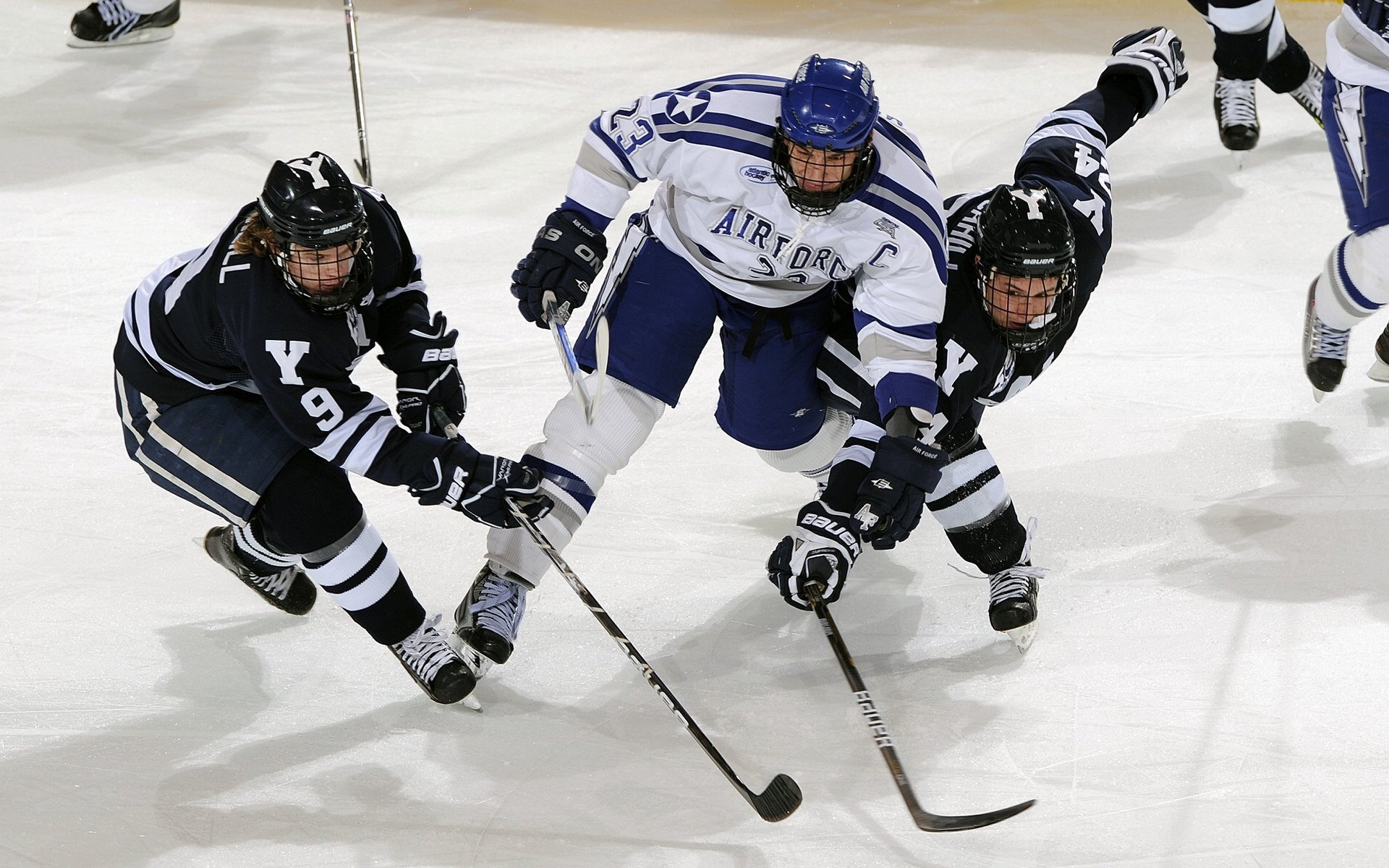 _生态自行车园：绿色出行与自然亲密接触_，生态园自助餐厅怎么样